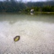 lago Anterselva