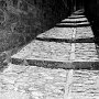 erice_2012